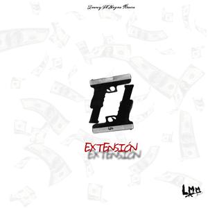 Extensión