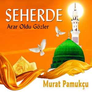 Seherde