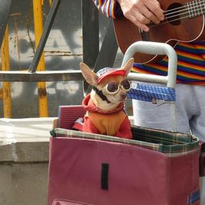 Computerama (feat. Nicola Giunta)