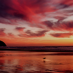 【FREE】抒情 R&B Type Beat - "Whisper"