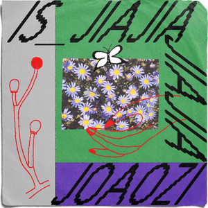 joaozi