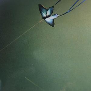 This life or the next