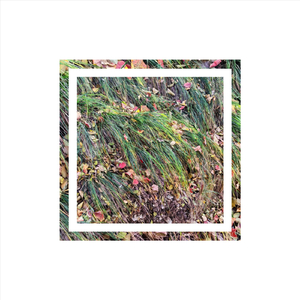 Grass (Mini Version)