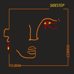 SideStep (feat. Felukah)