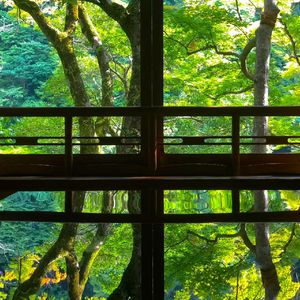 有你的回忆里沉沦