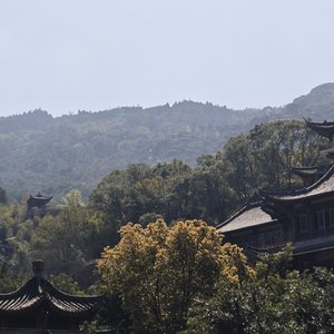 你是平凡岁月里最温柔的神迹