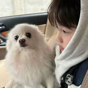 迷恋你眼睛像晚星