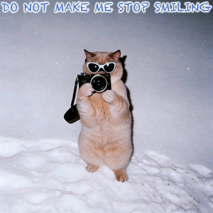 Silly Wins No Questions Asked