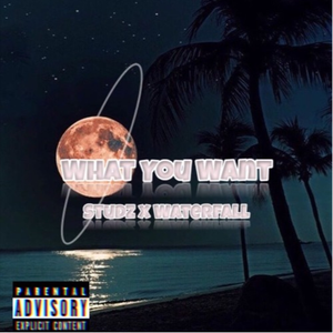 What You Want