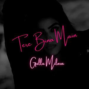 Tere Bina Main