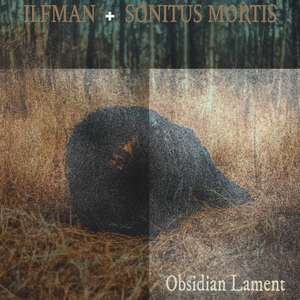 Obsidian Lament (feat. Frank Ilfman & SONITUS MORTIS)
