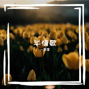 半情歌