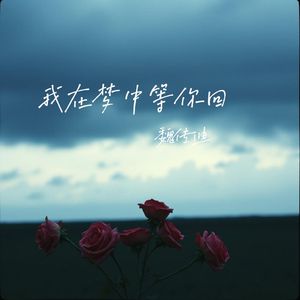 我在梦中等你回