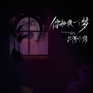 你和我一个梦长得好像