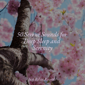 Enchanting Soundscapes in Motion