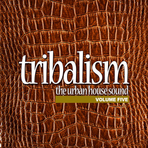 Got to Be (Tribal Mix) [Feat. Kaysee]