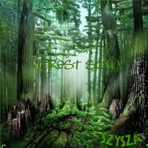 Forest Song