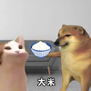 那些年听错的歌词