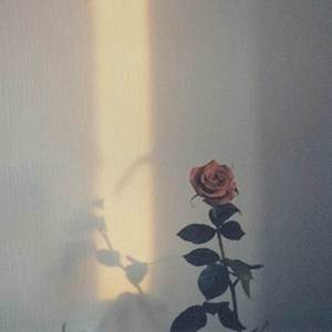 Srytomylife（Prod by Yusei）