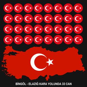 Bingöl Elazığ kara yolunda 33 Can