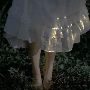 晚夜微雨问海棠