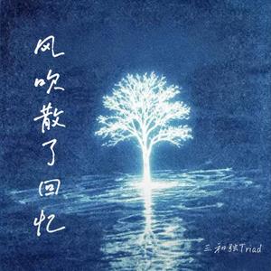 风吹散了回忆 ｜R&B 抖音歌 完整版｜(我还没来得及)