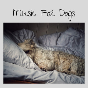 Dog Music for Sleep