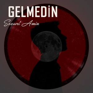 Gelmedin