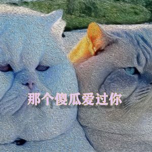 那个傻瓜爱过你