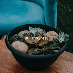 Magnificent Morning Brunches