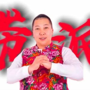 大东北我的家乡（ZHA_Sty bootleg）