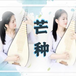 【琵琶】芒种（一想到你我就~~）感受琵琶蹦迪