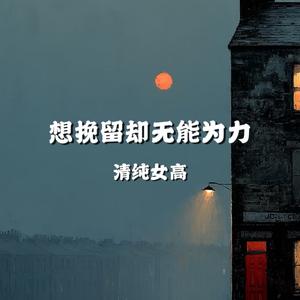 想挽留却无能为力