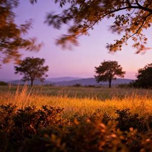 深爱过的人怎么放手