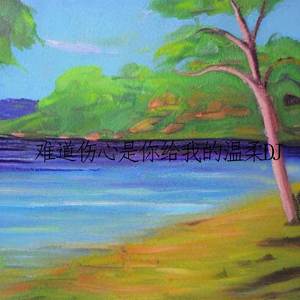 难道伤心是你给我的温柔(DJ)