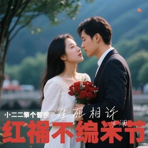 生死相许 (安澜 Remix)