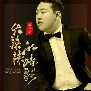 火辣辣的情歌（伴奏）