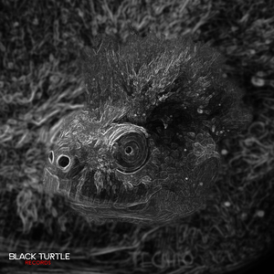 The Eminence of Symmetry