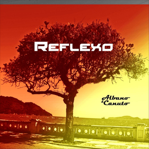 Reflexo