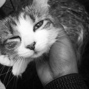 Time Traveler - Walk Away