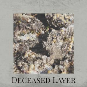 Deceased Layer