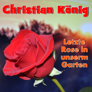 Letzte Rose in unserm Garten