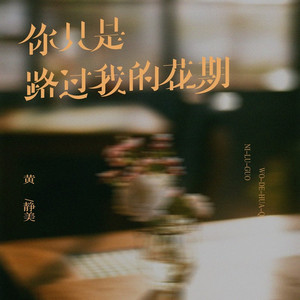你只是路过我的花期