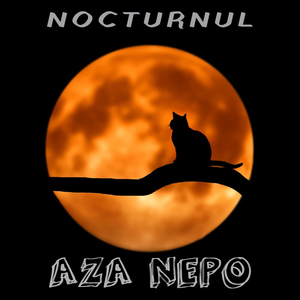 Nocturnul
