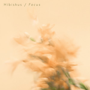 Focus