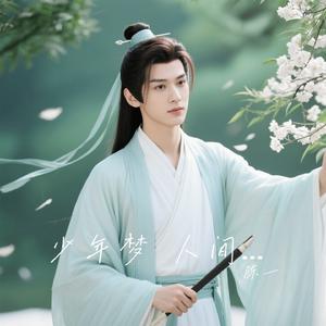 少年梦 人间憾