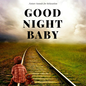 Good Night Baby