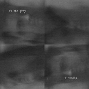 In The Grey (Demo)