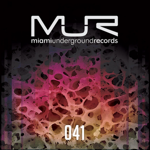 Ziriguidum (Original Mix)