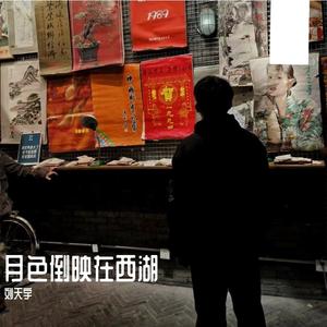 月色倒映在西湖